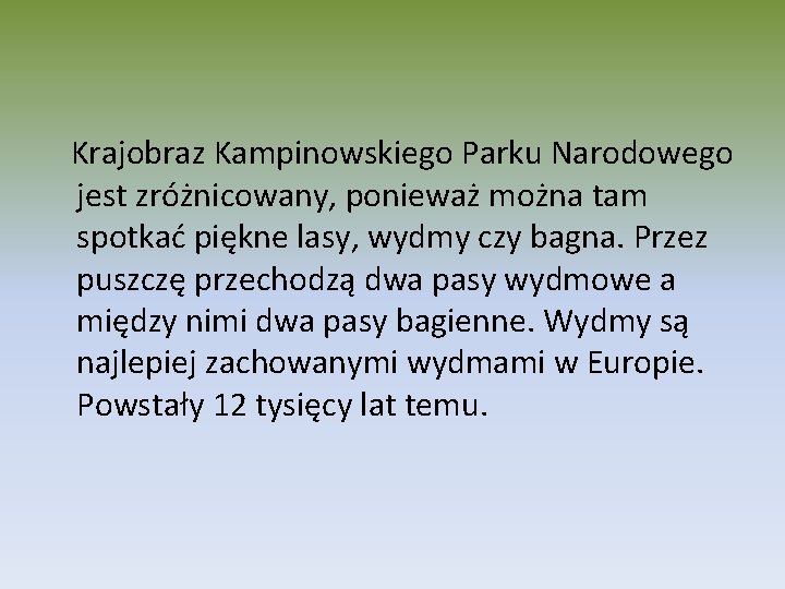 Krajobraz Kampinowskiego Parku Narodowego jest zróżnicowany, ponieważ można tam spotkać piękne lasy, wydmy czy