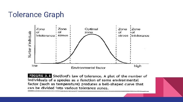 Tolerance Graph 