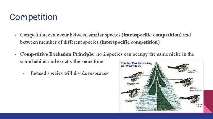 Competition - Competition can occur between similar species (intraspecific competition) and between member of