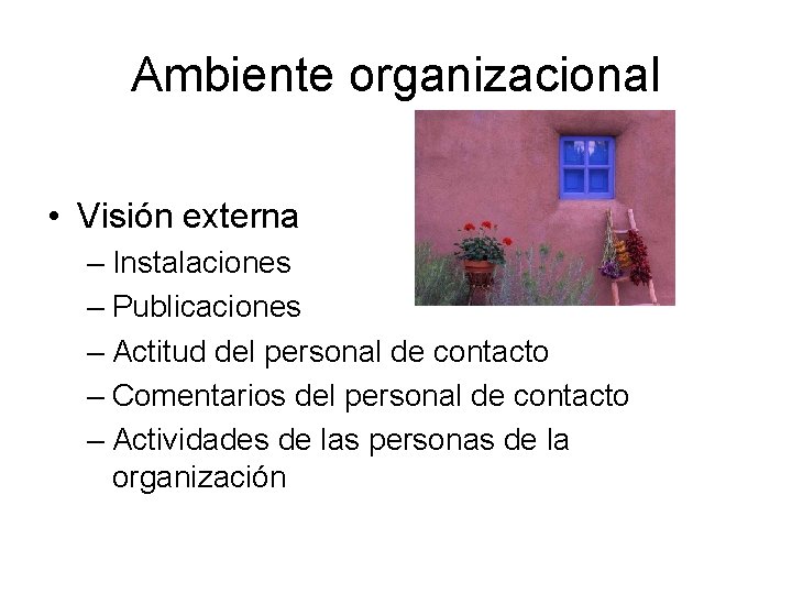 Ambiente organizacional • Visión externa – Instalaciones – Publicaciones – Actitud del personal de