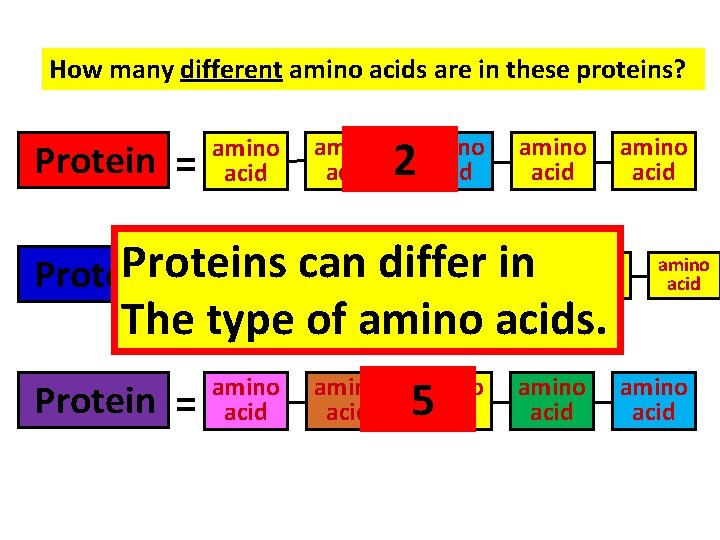 How many different amino acids are in these proteins? Protein = amino acid 2