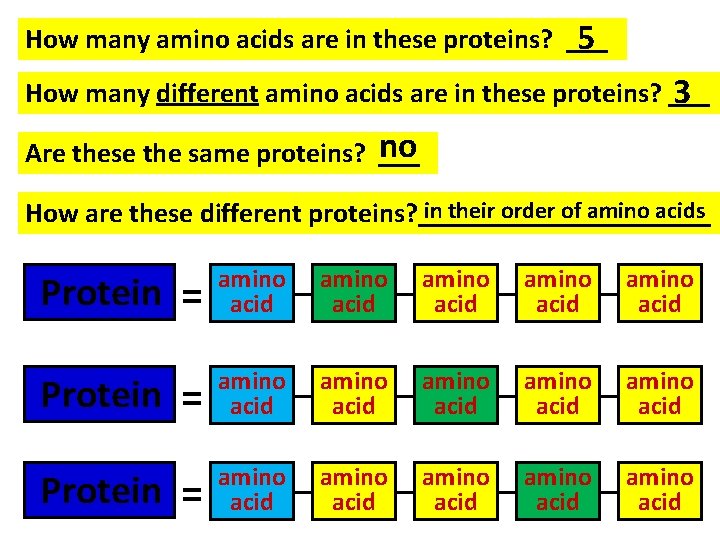 How many amino acids are in these proteins? ___ 5 How many different amino