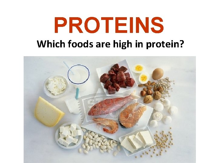 PROTEINS Which foods are high in protein? 