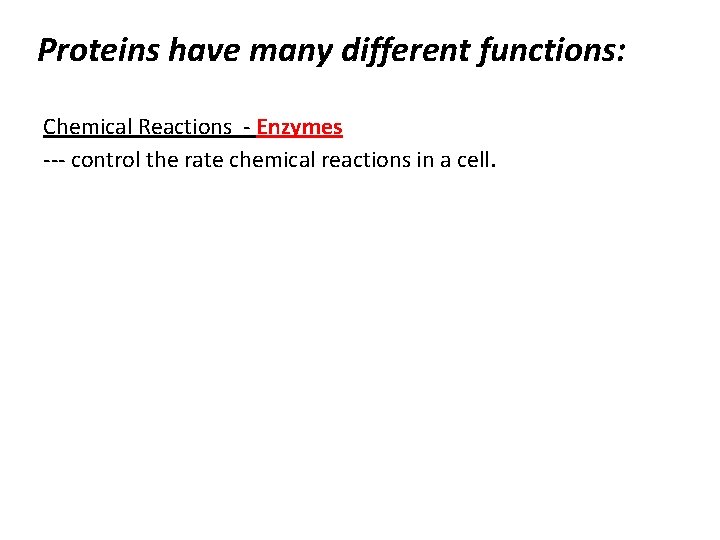 Proteins have many different functions: Chemical Reactions - Enzymes --- control the rate chemical