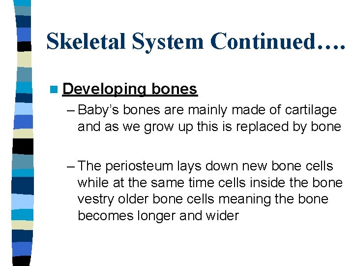 Skeletal System Continued…. n Developing bones – Baby’s bones are mainly made of cartilage