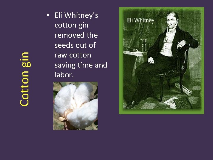 Cotton gin • Eli Whitney’s cotton gin removed the seeds out of raw cotton