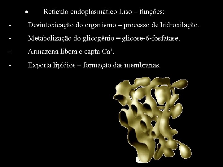 · · Retículo endoplasmático Liso – funções: - Desintoxicação do organismo – processo de