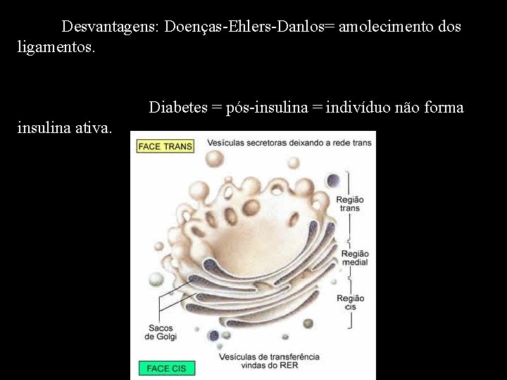 -· Desvantagens: Doenças-Ehlers-Danlos= amolecimento dos ligamentos. Diabetes = pós-insulina = indivíduo não forma insulina