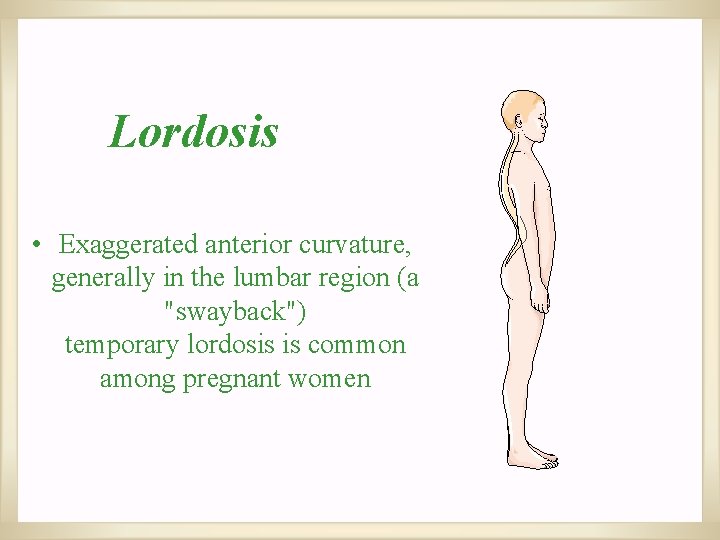 Lordosis • Exaggerated anterior curvature, generally in the lumbar region (a "swayback") temporary lordosis