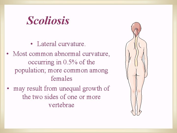 Scoliosis • Lateral curvature. • Most common abnormal curvature, occurring in 0. 5% of