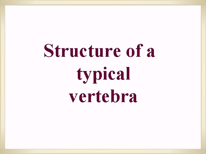 Structure of a typical vertebra 