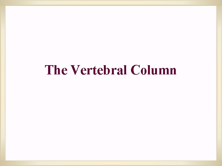 The Vertebral Column 