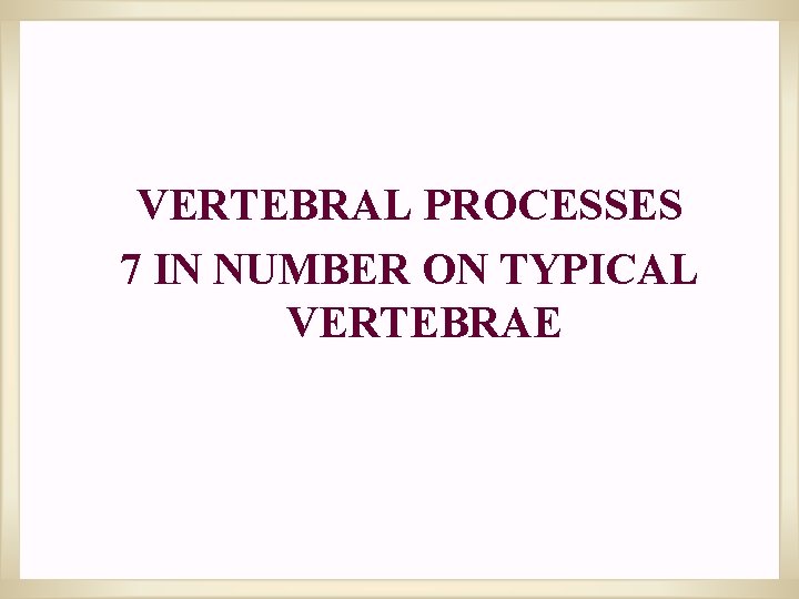 VERTEBRAL PROCESSES 7 IN NUMBER ON TYPICAL VERTEBRAE 