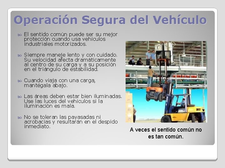 Operación Segura del Vehículo El sentido común puede ser su mejor protección cuando usa
