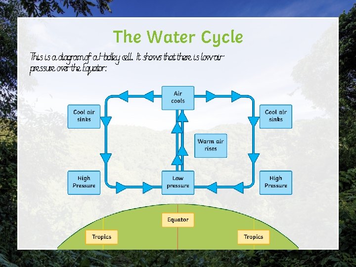 The Water Cycle This is a diagram of a Hadley cell. It shows that