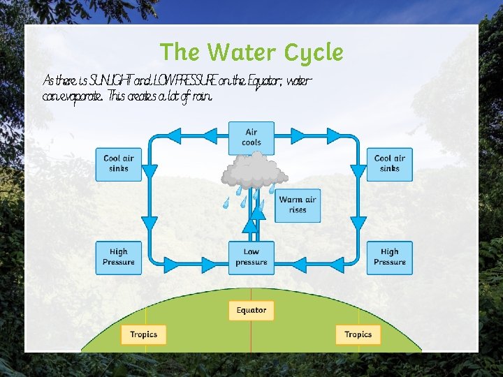 The Water Cycle As there is SUNLIGHT and LOW PRESSURE on the Equator, water