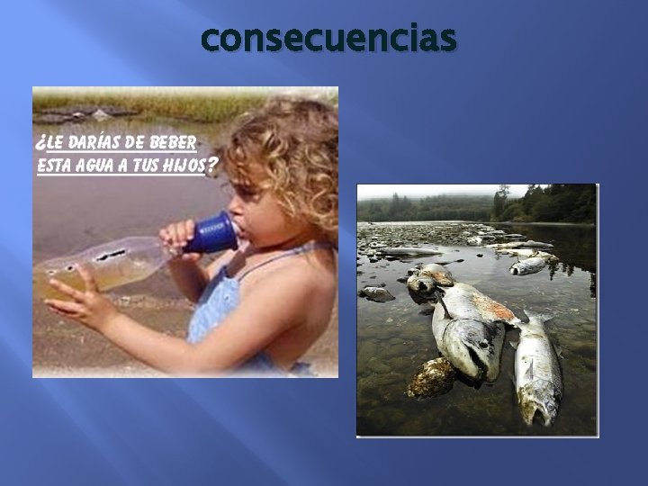 consecuencias 