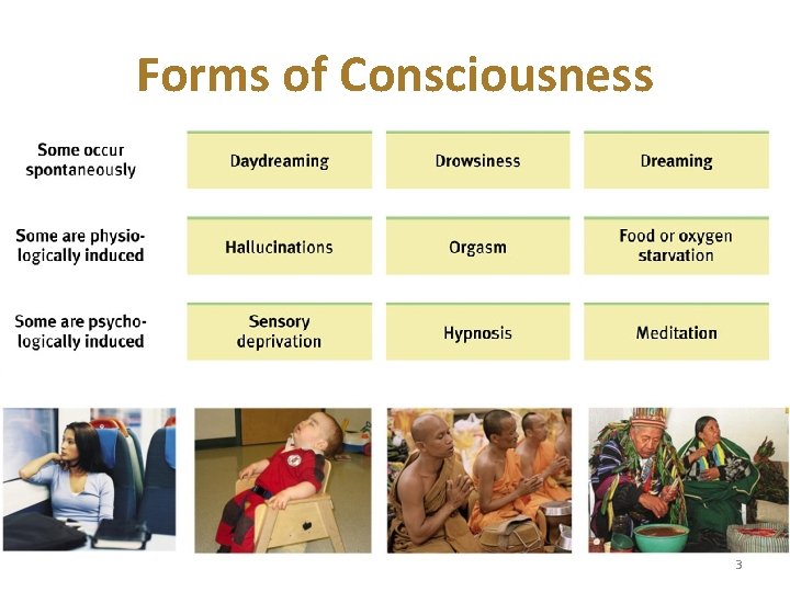 Forms of Consciousness 3 