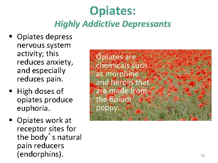 Opiates: Highly Addictive Depressants § Opiates depress nervous system activity; this reduces anxiety, and