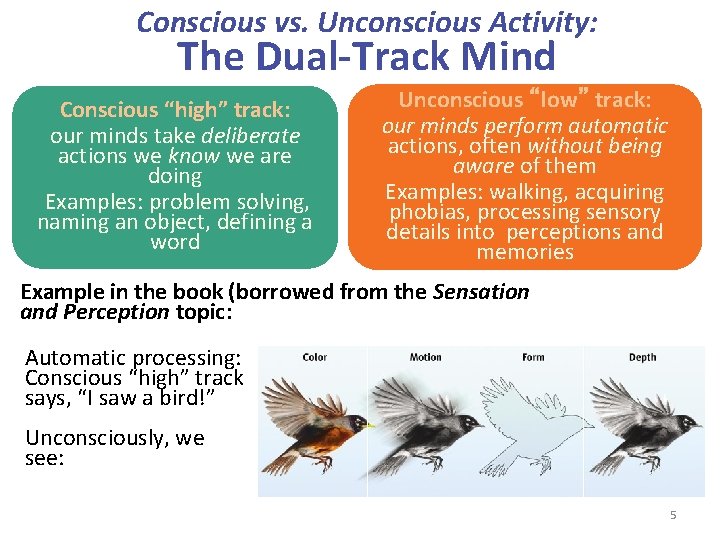 Conscious vs. Unconscious Activity: The Dual-Track Mind Conscious “high” track: our minds take deliberate