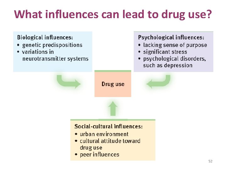 What influences can lead to drug use? 52 