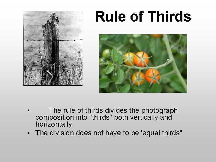 Rule of Thirds • The rule of thirds divides the photograph composition into "thirds"