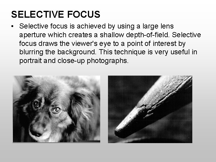 SELECTIVE FOCUS • Selective focus is achieved by using a large lens aperture which