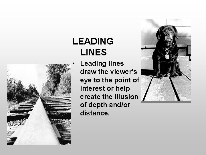 LEADING LINES • Leading lines draw the viewer's eye to the point of interest
