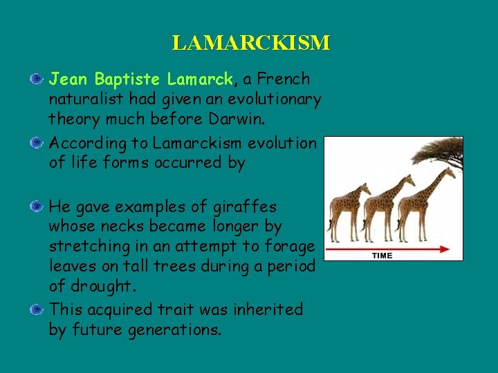 LAMARCKISM Jean Baptiste Lamarck, a French naturalist had given an evolutionary theory much before