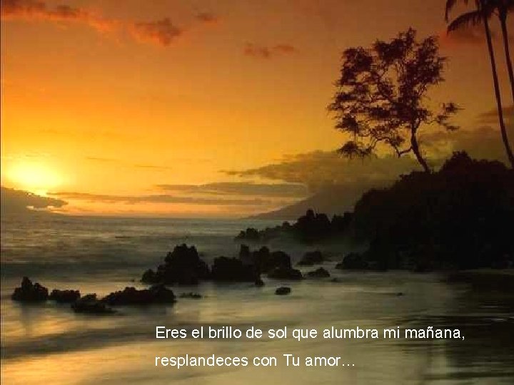 Eres el brillo de sol que alumbra mi mañana, resplandeces con Tu amor… 
