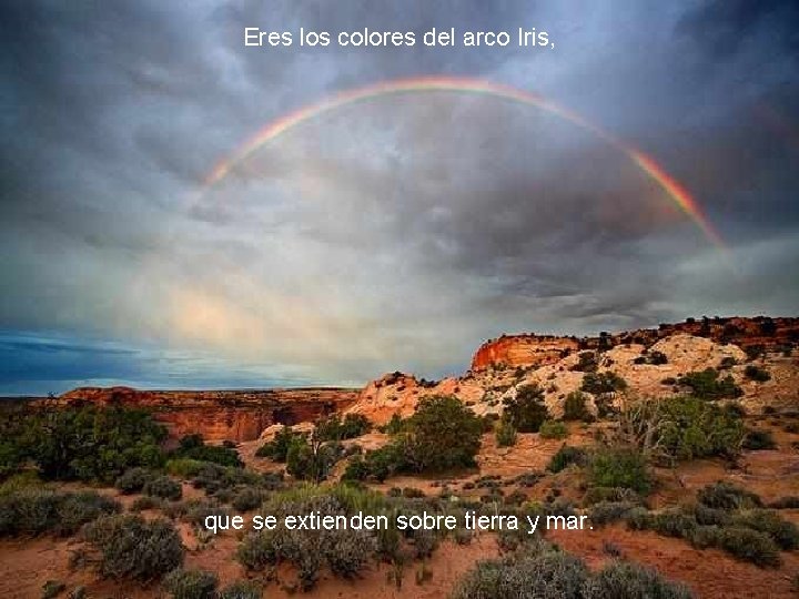 Eres los colores del arco Iris, que se extienden sobre tierra y mar. 