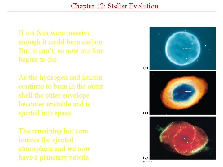 Chapter 12: Stellar Evolution If our Sun were massive enough it could burn carbon.