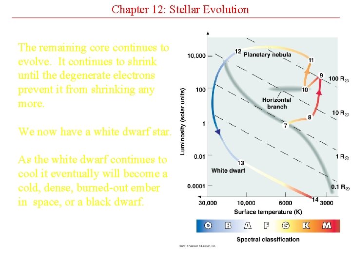 Chapter 12: Stellar Evolution The remaining core continues to evolve. It continues to shrink