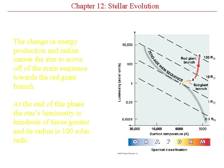 Chapter 12: Stellar Evolution The change in energy production and radius causes the star