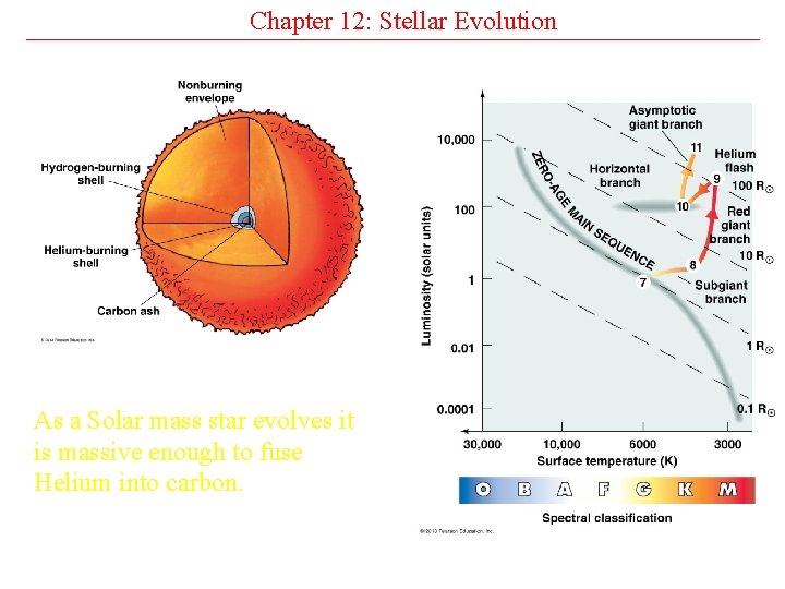 Chapter 12: Stellar Evolution As a Solar mass star evolves it is massive enough