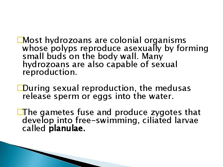 �Most hydrozoans are colonial organisms whose polyps reproduce asexually by forming small buds on