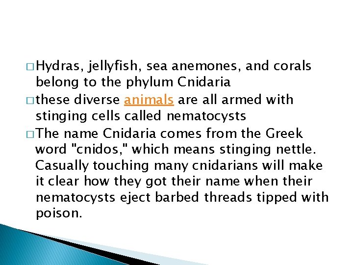 � Hydras, jellyfish, sea anemones, and corals belong to the phylum Cnidaria. � these
