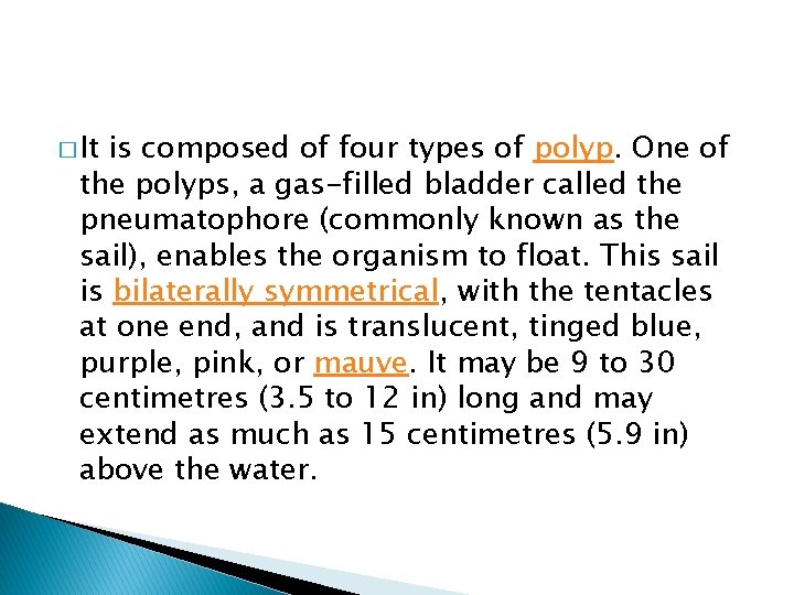 � It is composed of four types of polyp. One of the polyps, a