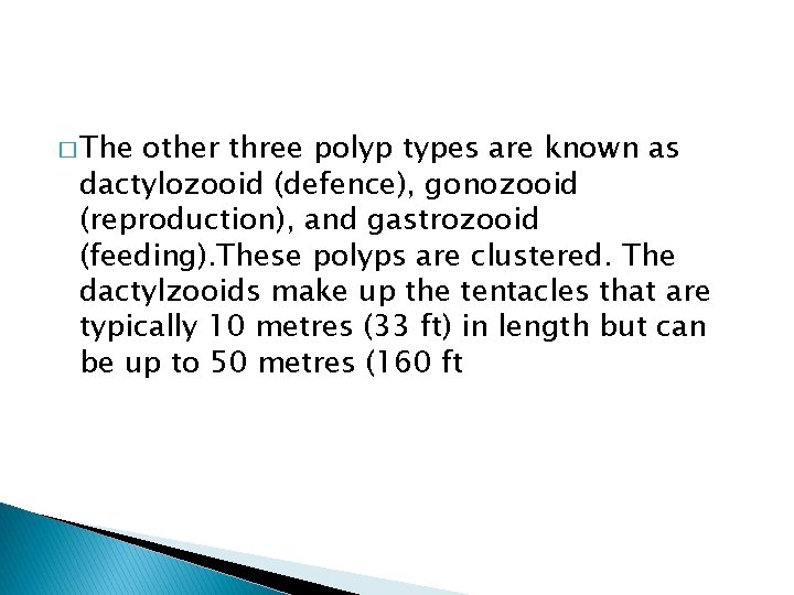 � The other three polyp types are known as dactylozooid (defence), gonozooid (reproduction), and