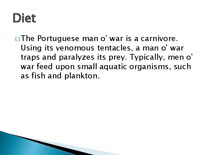 Diet � The Portuguese man o' war is a carnivore. Using its venomous tentacles,