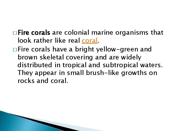 � Fire corals are colonial marine organisms that look rather like real coral. �