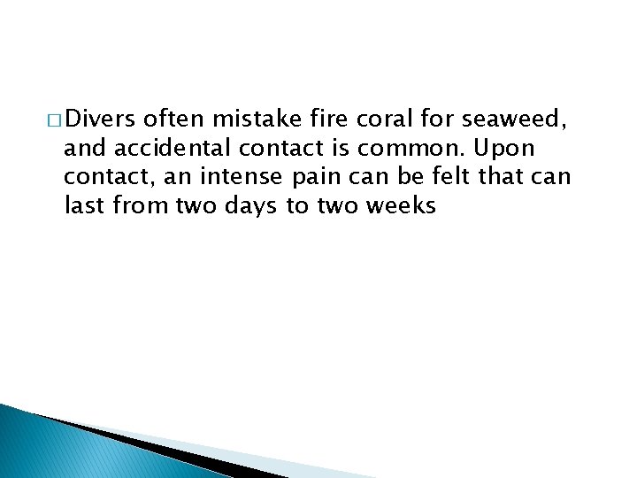 � Divers often mistake fire coral for seaweed, and accidental contact is common. Upon