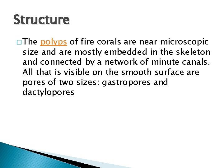Structure � The polyps of fire corals are near microscopic size and are mostly