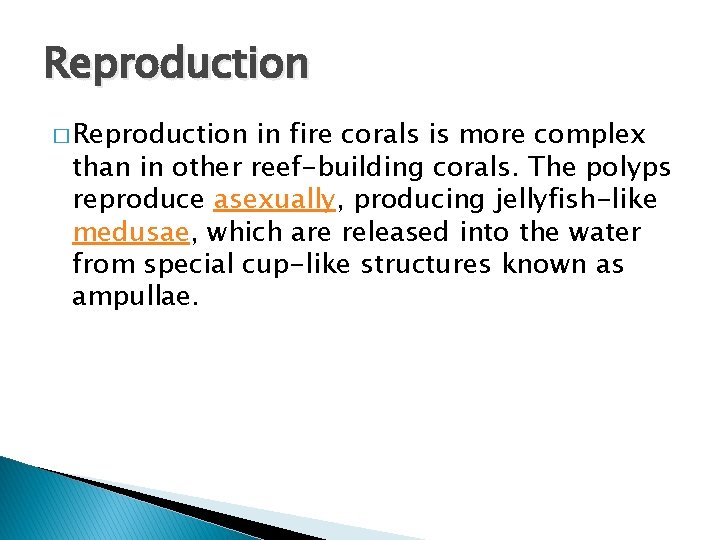 Reproduction � Reproduction in fire corals is more complex than in other reef-building corals.