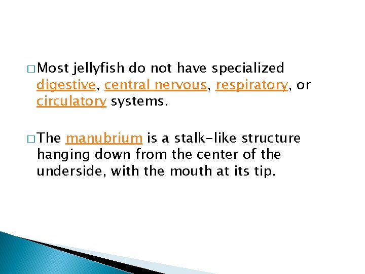 � Most jellyfish do not have specialized digestive, central nervous, respiratory, or circulatory systems.