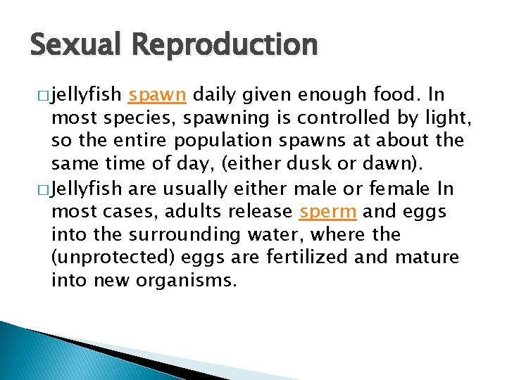 Sexual Reproduction � jellyfish spawn daily given enough food. In most species, spawning is
