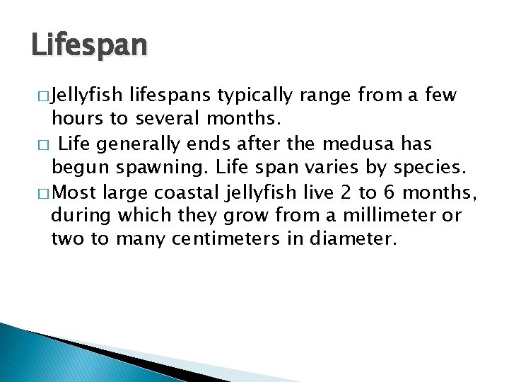 Lifespan � Jellyfish lifespans typically range from a few hours to several months. �