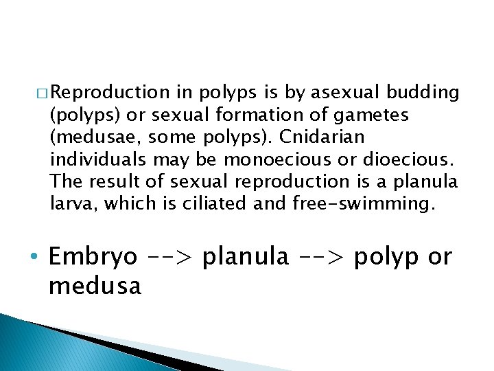 � Reproduction in polyps is by asexual budding (polyps) or sexual formation of gametes