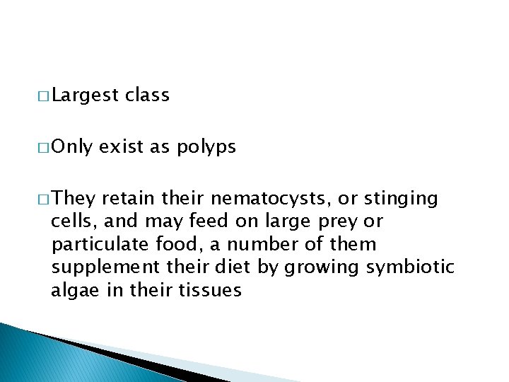 � Largest � Only � They class exist as polyps retain their nematocysts, or