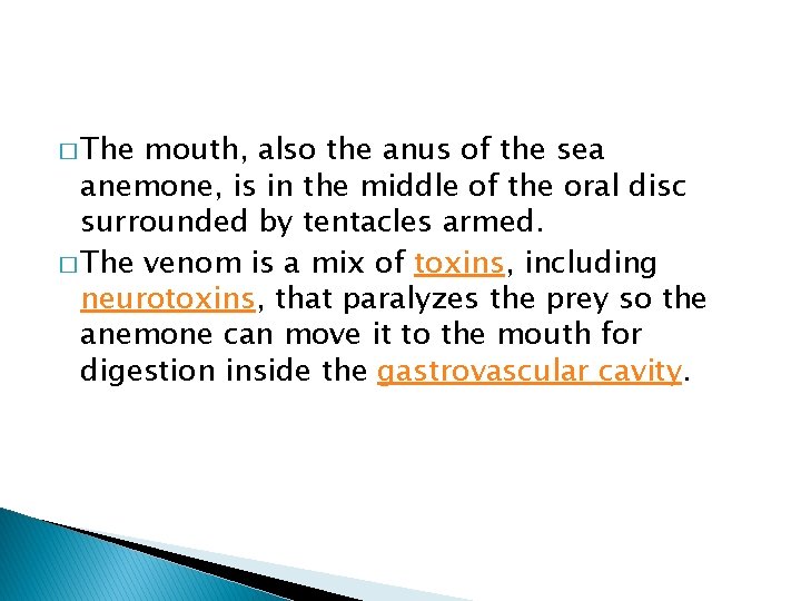 � The mouth, also the anus of the sea anemone, is in the middle